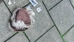 a wig lying on the pavement