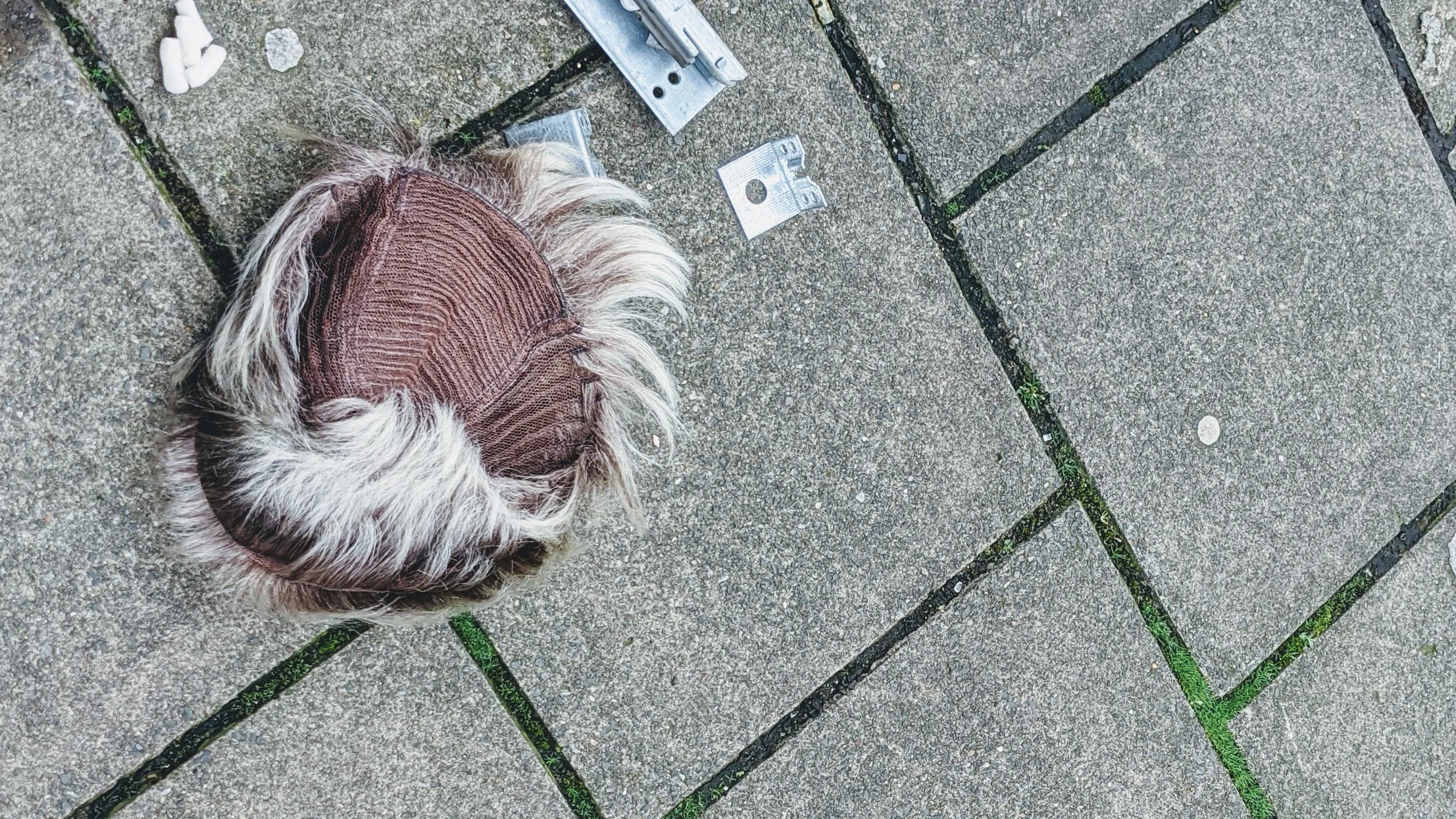 only in hackney - a wig animal on the street