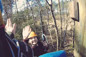 high fives high up in a tree