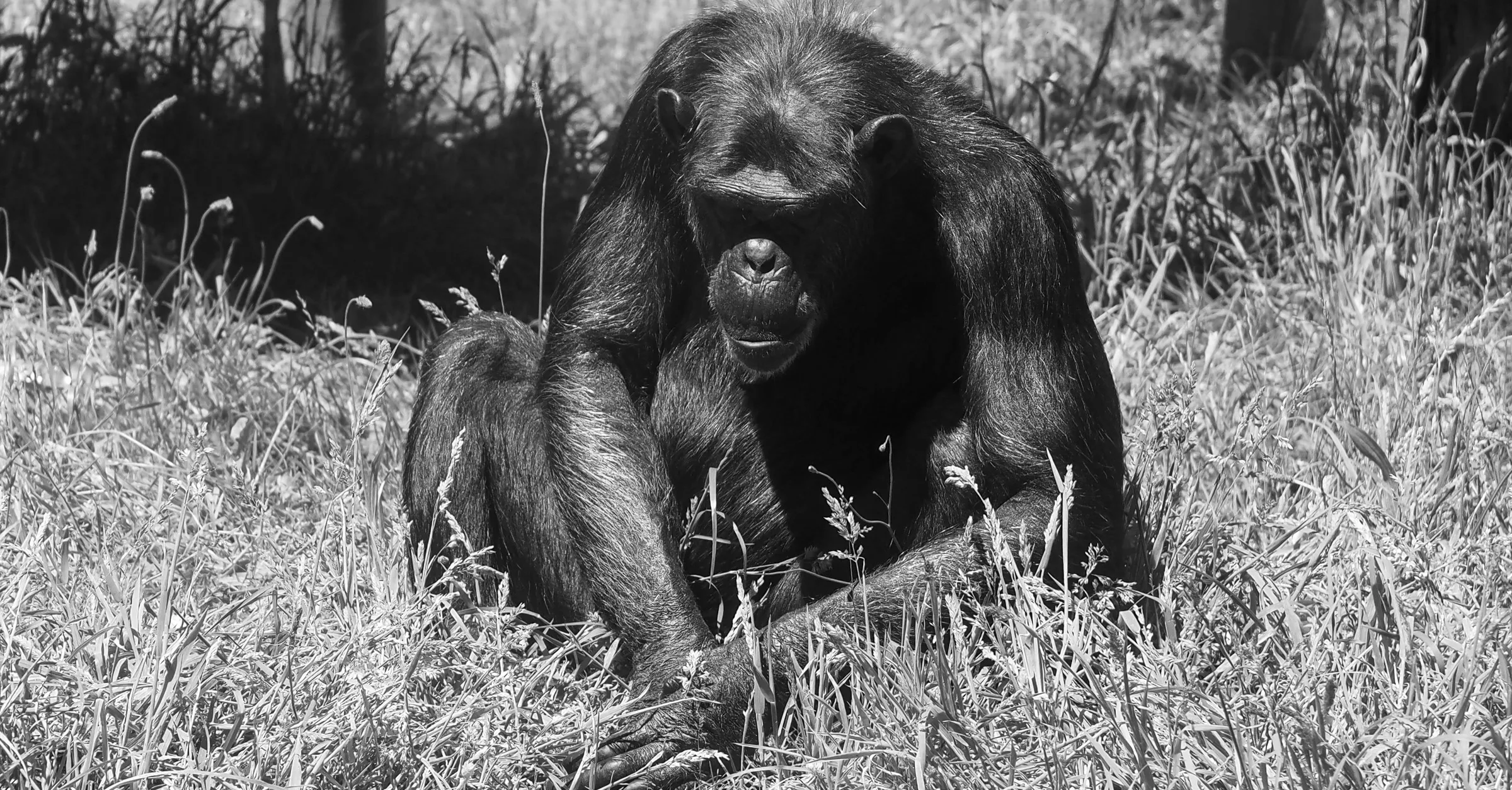 Portfolio photograph 04