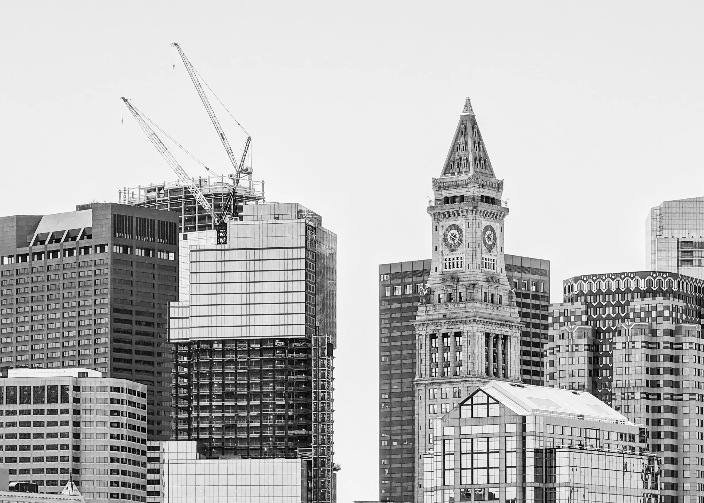 Portfolio photograph 13