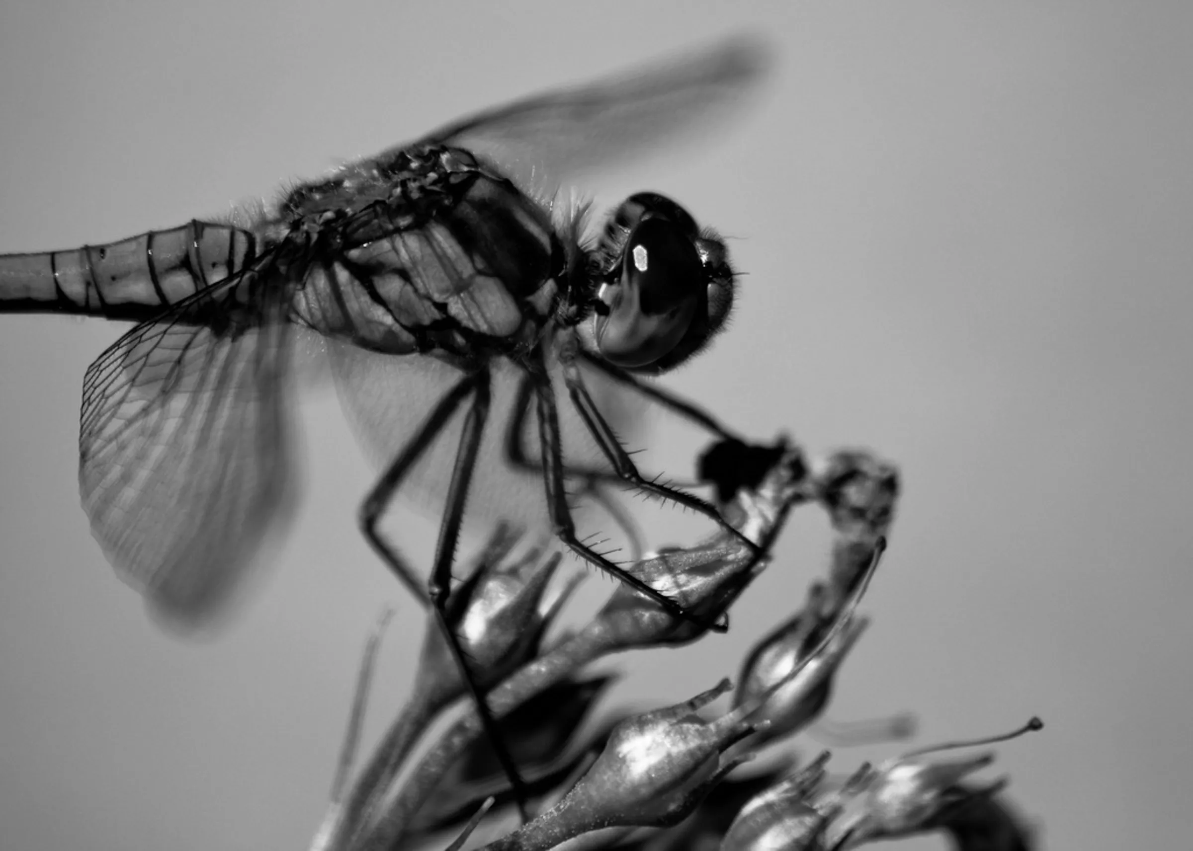 Portfolio photograph 20