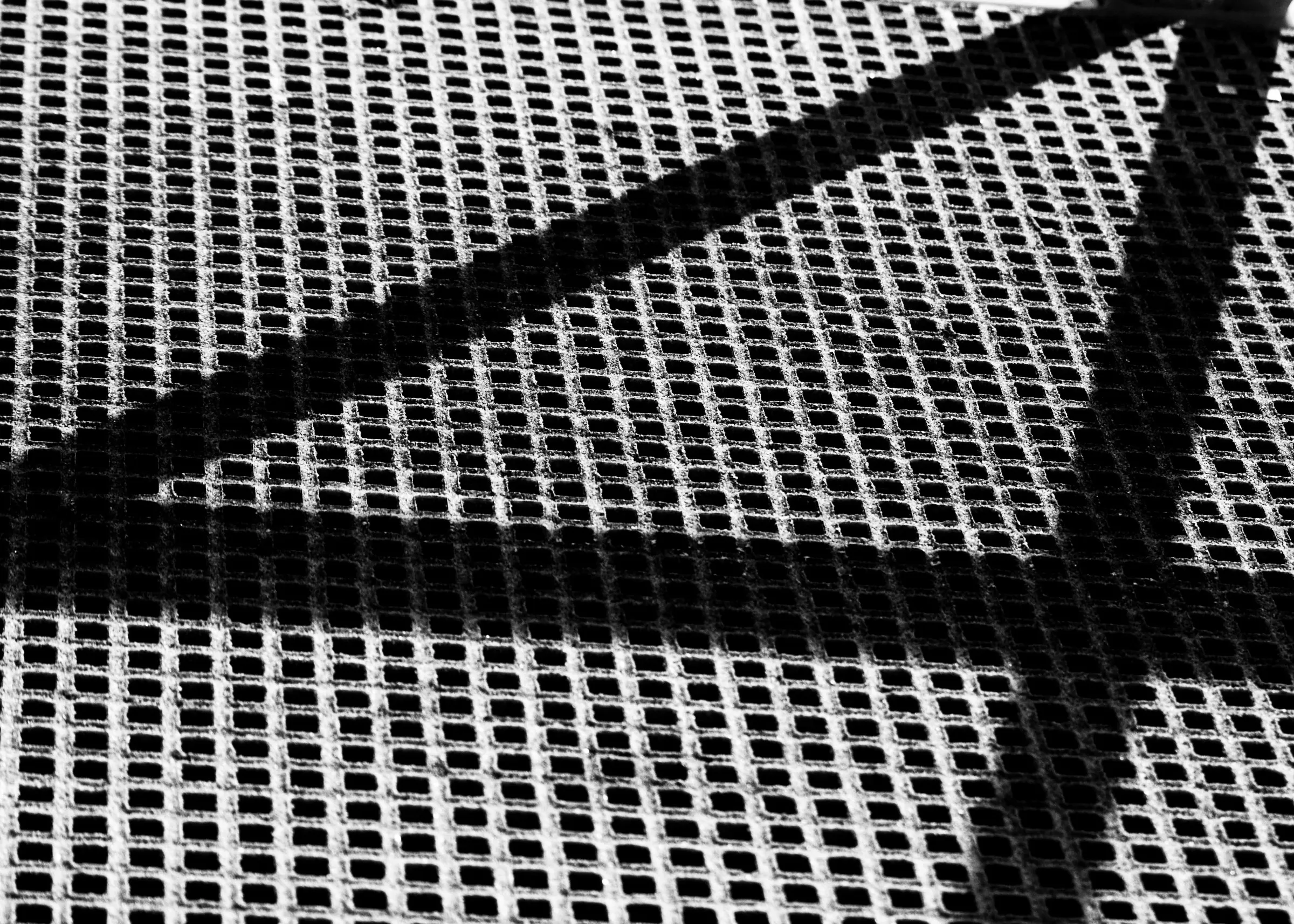 Portfolio photograph 46