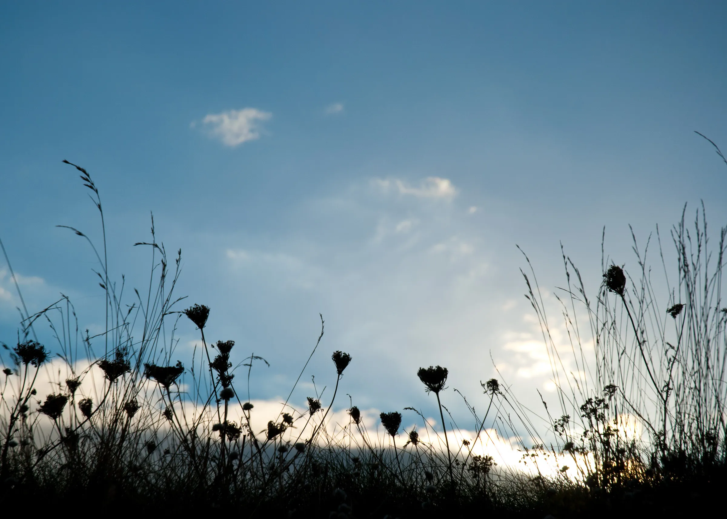 Portfolio photograph 50