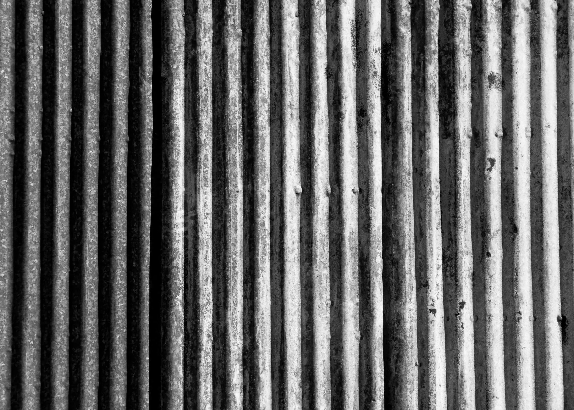 Portfolio photograph 51