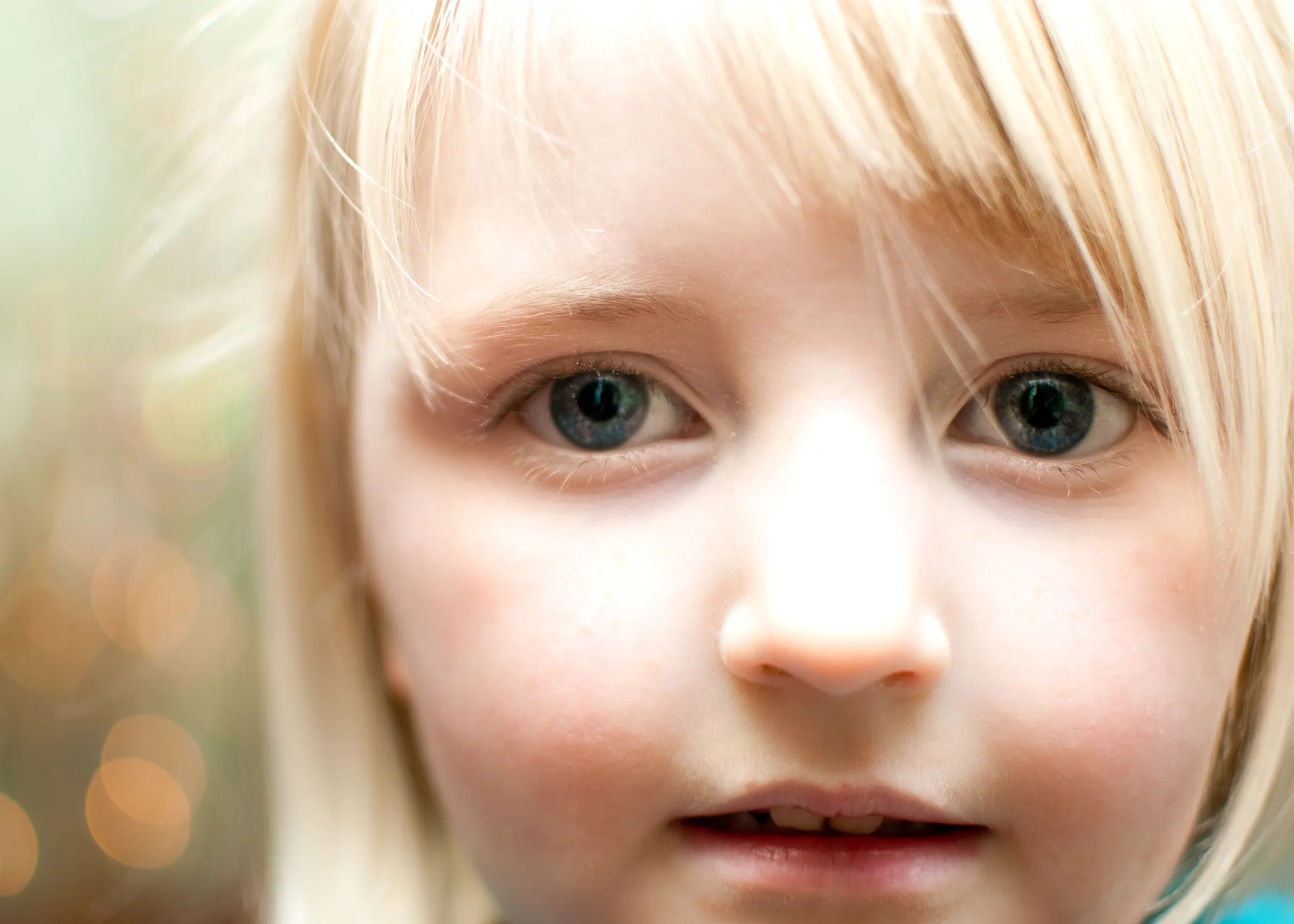 Portfolio photograph 54