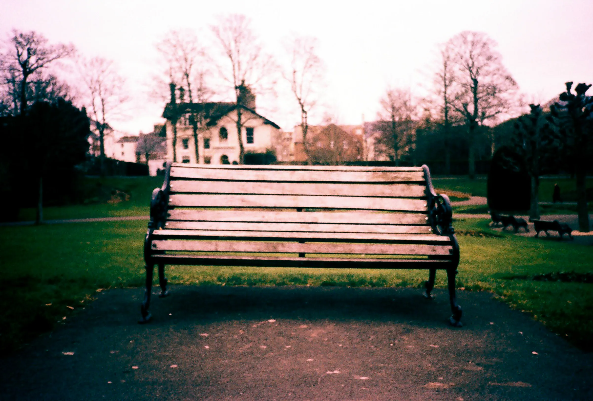 Portfolio photograph 59