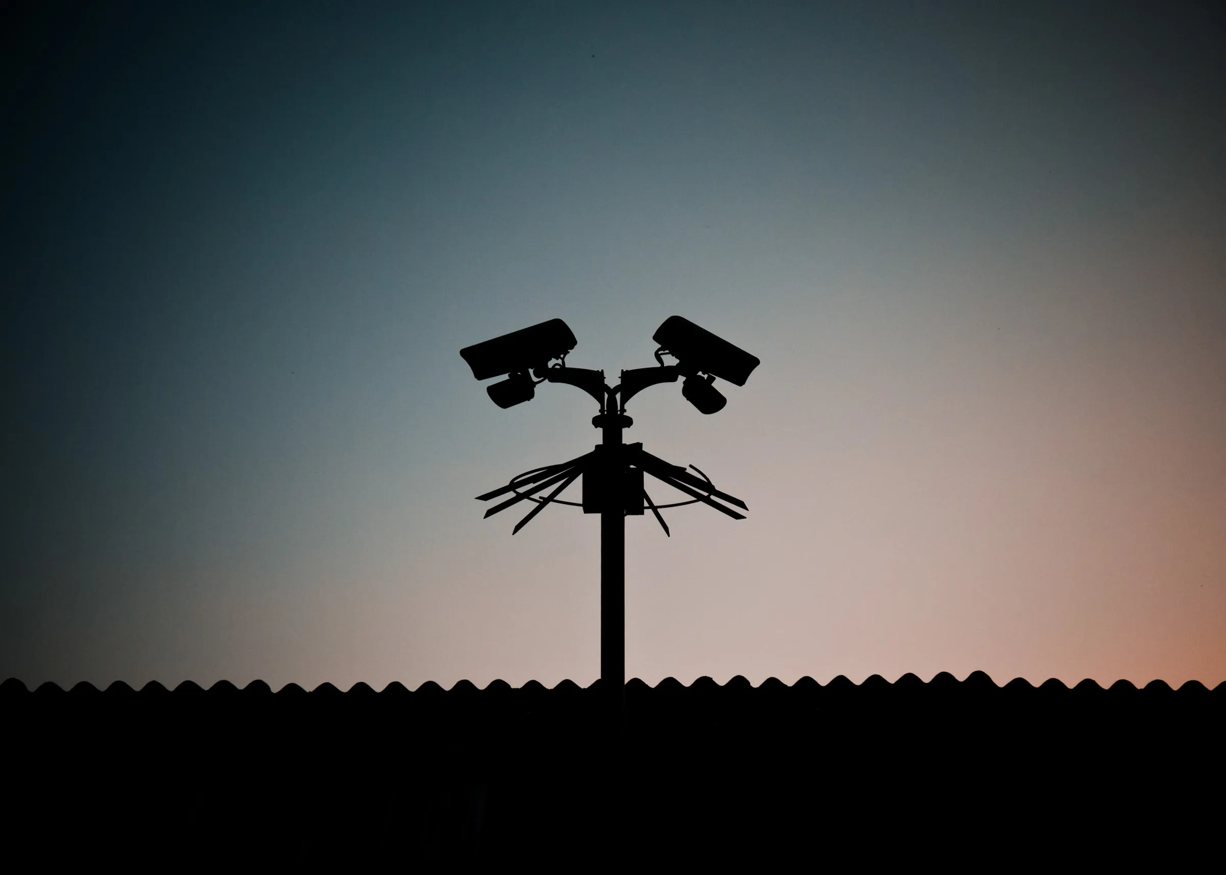 Portfolio photograph 72