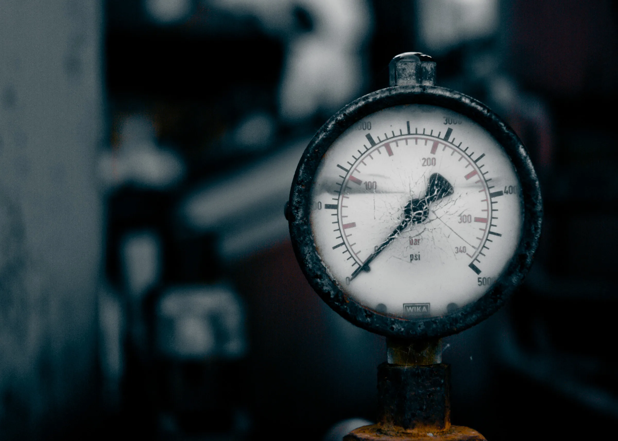 Portfolio photograph 73