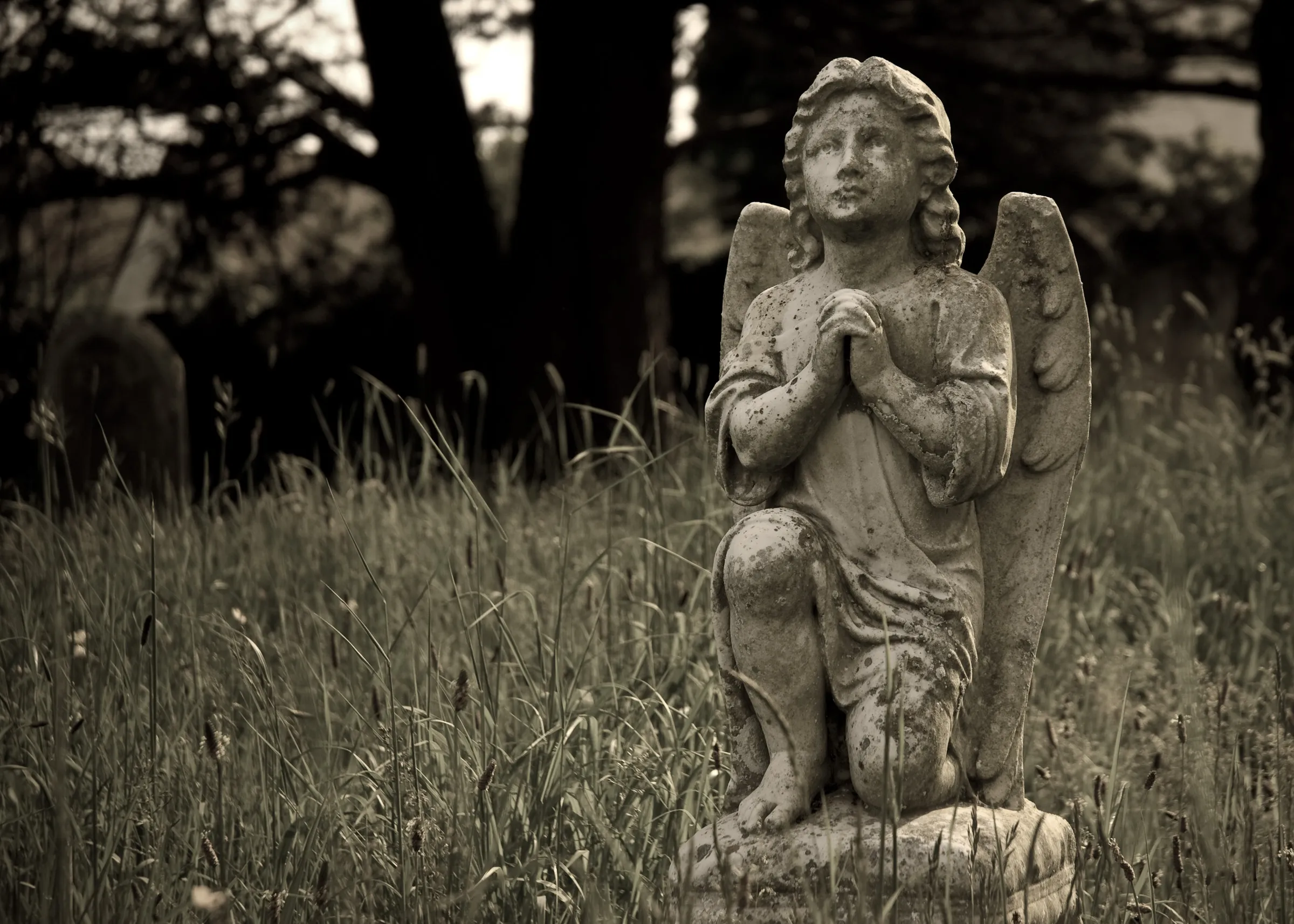 Portfolio photograph 74
