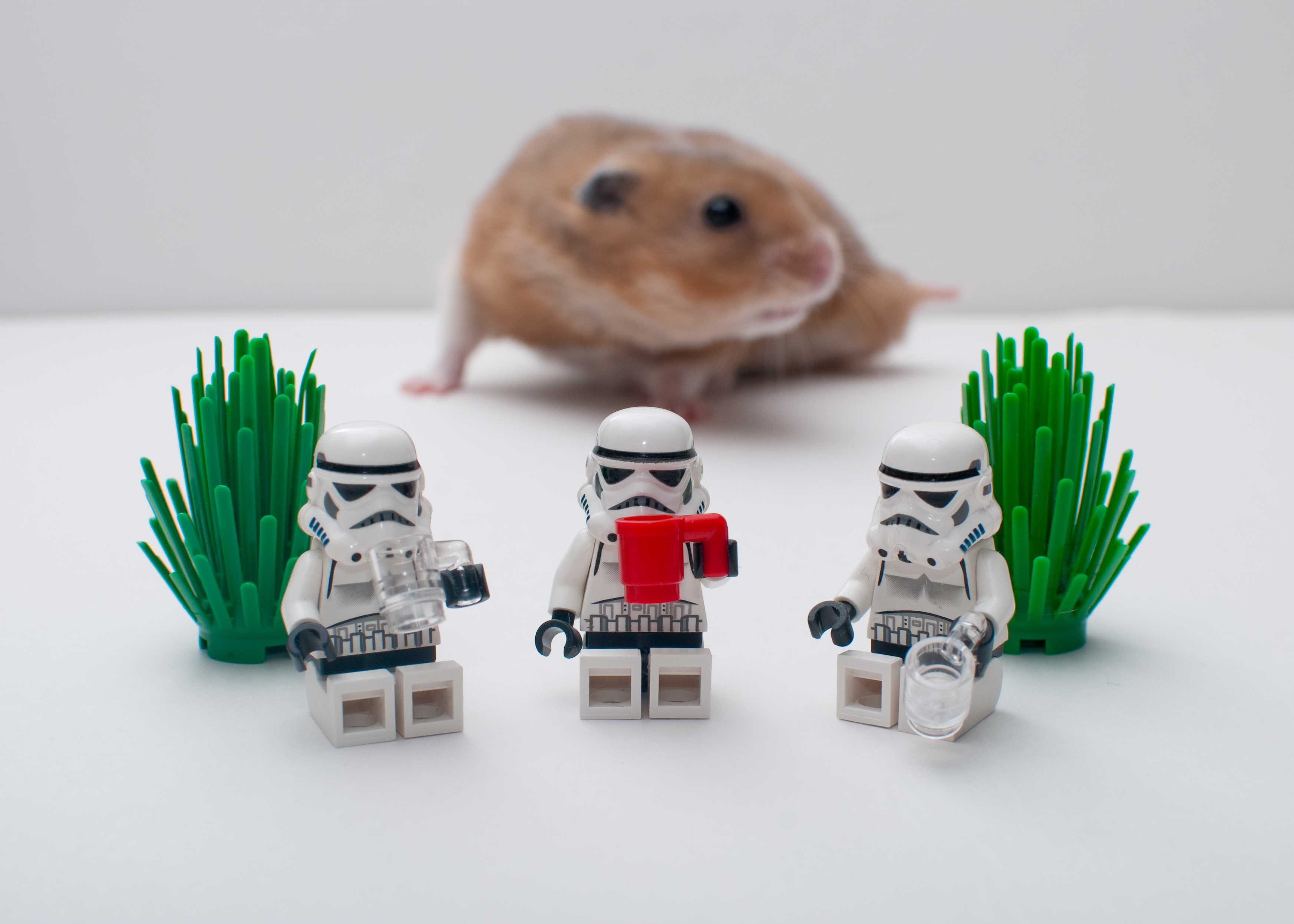 storm troopers about to get attacked by giant hamster